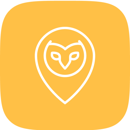 randonautic logo